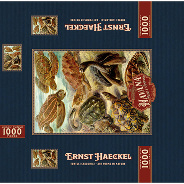 Turtle (Chelonia) - Art Forms in Nature, Vintage Art Poster, Ernst Haeckel 1000 Jigsaw Puzzle box 3D Modell