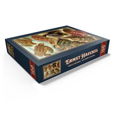 Turtle (Chelonia) - Art Forms in Nature, Vintage Art Poster, Ernst Haeckel 100 Jigsaw Puzzle box view1