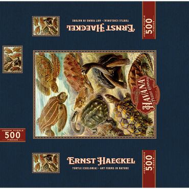 Turtle (Chelonia) - Art Forms in Nature, Vintage Art Poster, Ernst Haeckel 500 Jigsaw Puzzle box 3D Modell