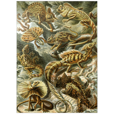 puzzleplate Lizard (Lacertilia) - Art Forms in Nature, Vintage Art Poster, Ernst Haeckel 1000 Jigsaw Puzzle