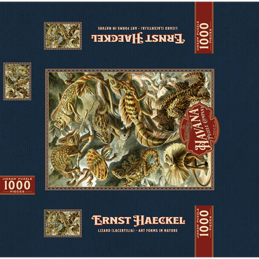Lizard (Lacertilia) - Art Forms in Nature, Vintage Art Poster, Ernst Haeckel 1000 Jigsaw Puzzle box 3D Modell