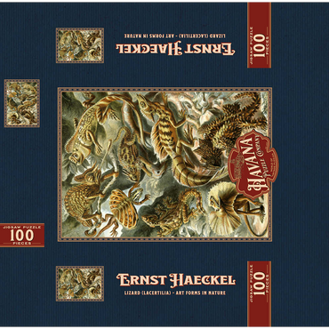 Lizard (Lacertilia) - Art Forms in Nature, Vintage Art Poster, Ernst Haeckel 100 Jigsaw Puzzle box 3D Modell