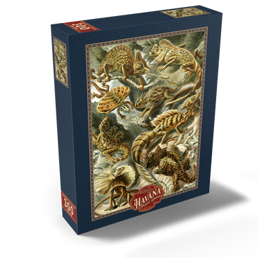 Lizard (Lacertilia) - Art Forms in Nature, Vintage Art Poster, Ernst Haeckel 300 Jigsaw Puzzle box view2