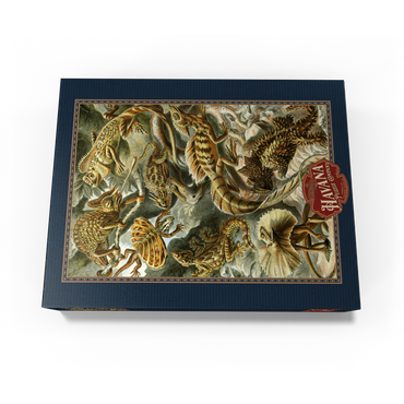 Lizard (Lacertilia) - Art Forms in Nature, Vintage Art Poster, Ernst Haeckel 300 Jigsaw Puzzle box view3