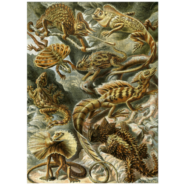 puzzleplate Lizard (Lacertilia) - Art Forms in Nature, Vintage Art Poster, Ernst Haeckel 300 Jigsaw Puzzle