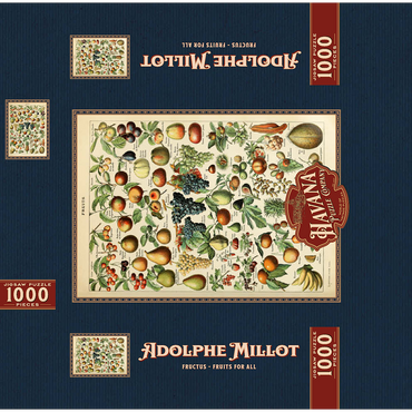 Fructus - Fruits For All, Vintage Art Poster, Adolphe Millot 1000 Jigsaw Puzzle box 3D Modell