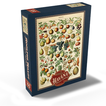 Fructus - Fruits For All, Vintage Art Poster, Adolphe Millot 100 Jigsaw Puzzle box view2