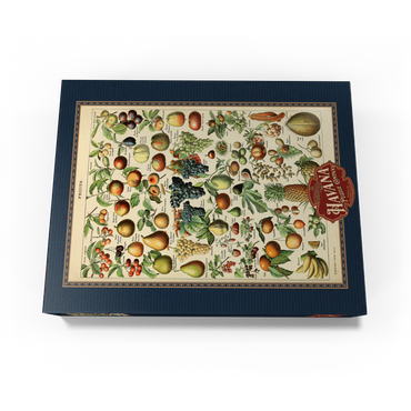 Fructus - Fruits For All, Vintage Art Poster, Adolphe Millot 300 Jigsaw Puzzle box view3