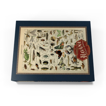 Arthropoda For All, Vintage Art Poster, Adolphe Millot 100 Jigsaw Puzzle box view1