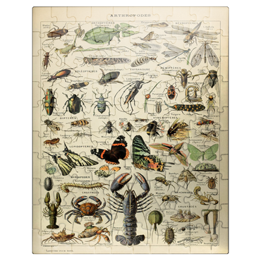 puzzleplate Arthropoda For All, Vintage Art Poster, Adolphe Millot 100 Jigsaw Puzzle