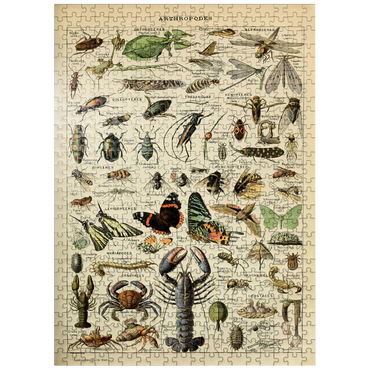 puzzleplate Arthropoda For All, Vintage Art Poster, Adolphe Millot 500 Jigsaw Puzzle