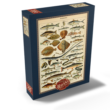 Fish For All, Vintage Art Poster, Adolphe Millot 300 Jigsaw Puzzle box view2