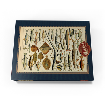 Fish For All, Vintage Art Poster, Adolphe Millot 300 Jigsaw Puzzle box view3