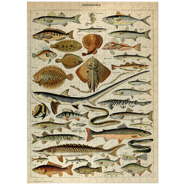 puzzleplate Fish For All, Vintage Art Poster, Adolphe Millot 300 Jigsaw Puzzle