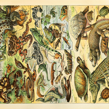 Reptiles For All, Vintage Art Poster, Adolphe Millot 1000 Jigsaw Puzzle 3D Modell