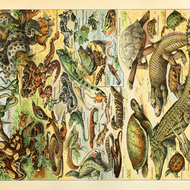 Reptiles For All, Vintage Art Poster, Adolphe Millot 100 Jigsaw Puzzle 3D Modell