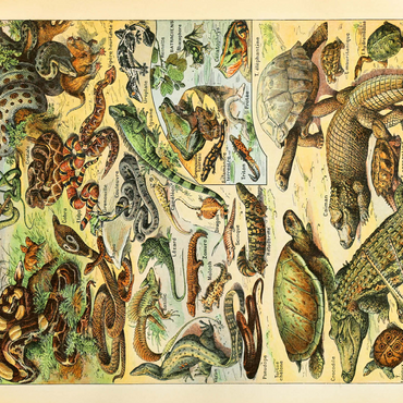 Reptiles For All, Vintage Art Poster, Adolphe Millot 500 Jigsaw Puzzle 3D Modell