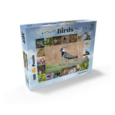 Birds of the Year - Collage No.9 - Main motif: Lapwing 100 Jigsaw Puzzle box view1