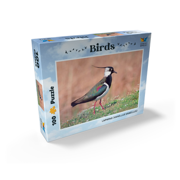 Lapwing - bird of the year 2024 100 Jigsaw Puzzle box view1