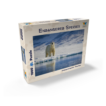 Endangered species: Polar bear in Svalbard - Norway 1000 Jigsaw Puzzle box view1