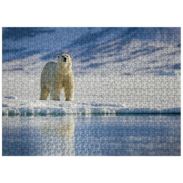 puzzleplate Endangered species: Polar bear in Svalbard - Norway 500 Jigsaw Puzzle