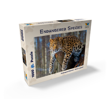 Endangered species: Amur leopard 1000 Jigsaw Puzzle box view1