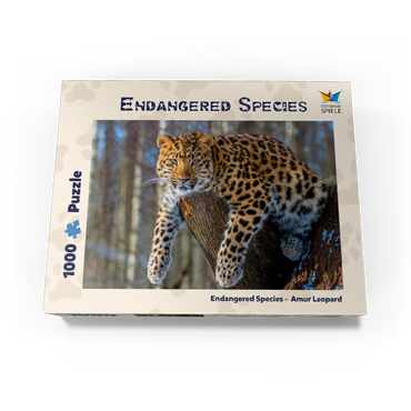 Endangered species: Amur leopard 1000 Jigsaw Puzzle box view1