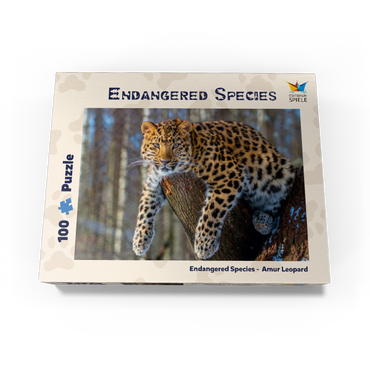Endangered species: Amur leopard 100 Jigsaw Puzzle box view1
