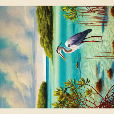 Biscayne National Park: Among The Mangroves, Vintage Poster 1000 Jigsaw Puzzle 3D Modell