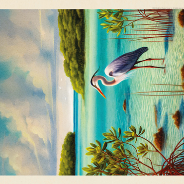 Biscayne National Park: Among The Mangroves, Vintage Poster 500 Jigsaw Puzzle 3D Modell