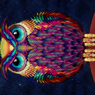 Colorful Geometric Owl on Starry Night 500 Jigsaw Puzzle 3D Modell