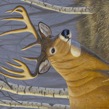 Majestic White-Tailed Deer in Birch Forest 100 Jigsaw Puzzle 3D Modell