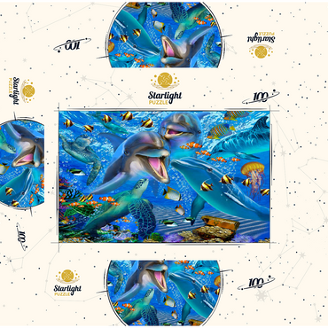 Laughing Dolphins 100 Jigsaw Puzzle box 3D Modell