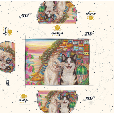 Selfie in Positano 1000 Jigsaw Puzzle box 3D Modell