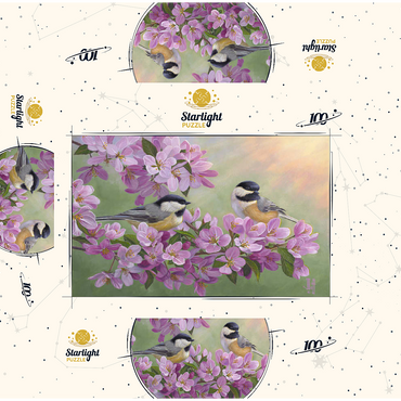 Spring Glow Chickadees 100 Jigsaw Puzzle box 3D Modell