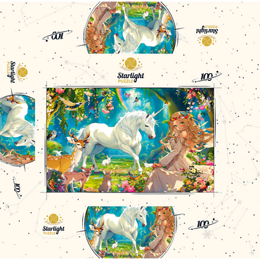 Fairy and Unicorn 100 Jigsaw Puzzle box 3D Modell