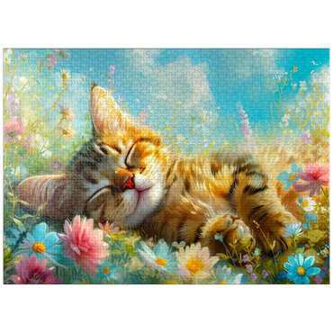 puzzleplate Sleeping Kitten 1 1000 Jigsaw Puzzle