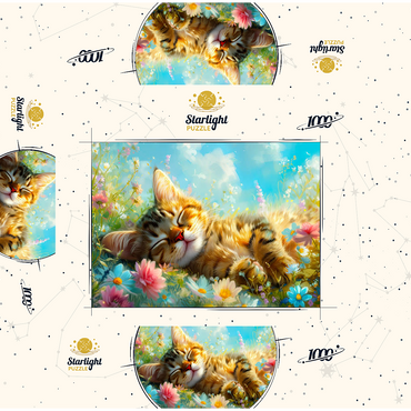 Sleeping Kitten 1 1000 Jigsaw Puzzle box 3D Modell