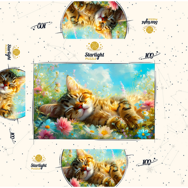 Sleeping Kitten 1 100 Jigsaw Puzzle box 3D Modell