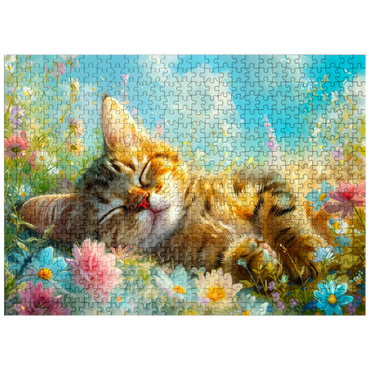 puzzleplate Sleeping Kitten 1 500 Jigsaw Puzzle