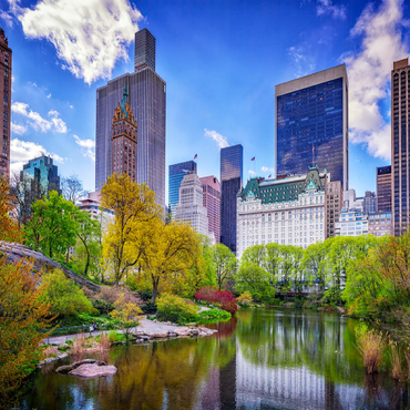 Central Park South from Gapstow Bridge 100 Jigsaw Puzzle 3D Modell