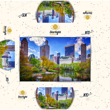 Central Park South from Gapstow Bridge 100 Jigsaw Puzzle box 3D Modell