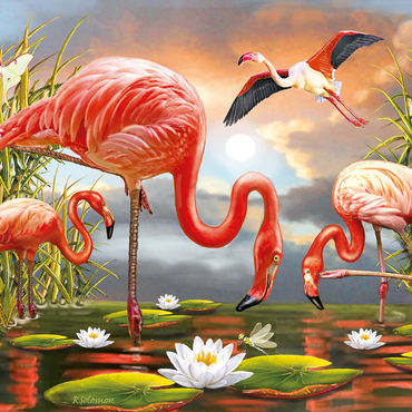 Flamingoes 1000 Jigsaw Puzzle 3D Modell