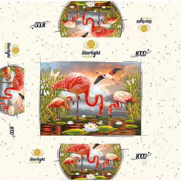 Flamingoes 1000 Jigsaw Puzzle box 3D Modell