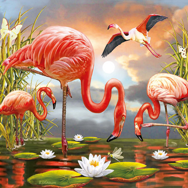 Flamingoes 100 Jigsaw Puzzle 3D Modell