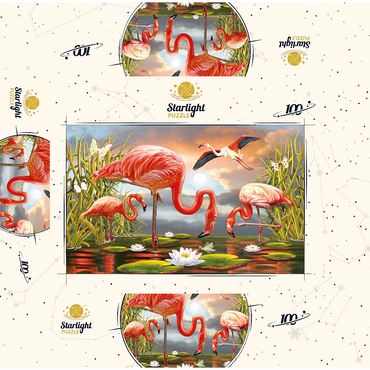 Flamingoes 100 Jigsaw Puzzle box 3D Modell