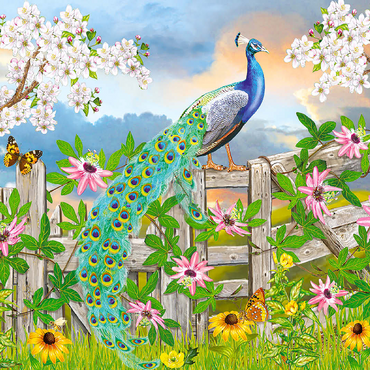 Peacock On Fence 100 Jigsaw Puzzle 3D Modell