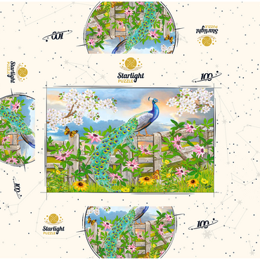 Peacock On Fence 100 Jigsaw Puzzle box 3D Modell