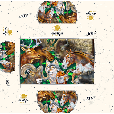 North American Wildlife 100 Jigsaw Puzzle box 3D Modell