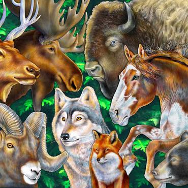 North American Wildlife 500 Jigsaw Puzzle 3D Modell